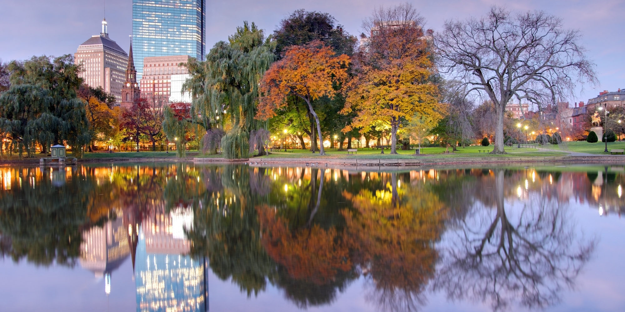 Boston Reflecting on a Small Pond